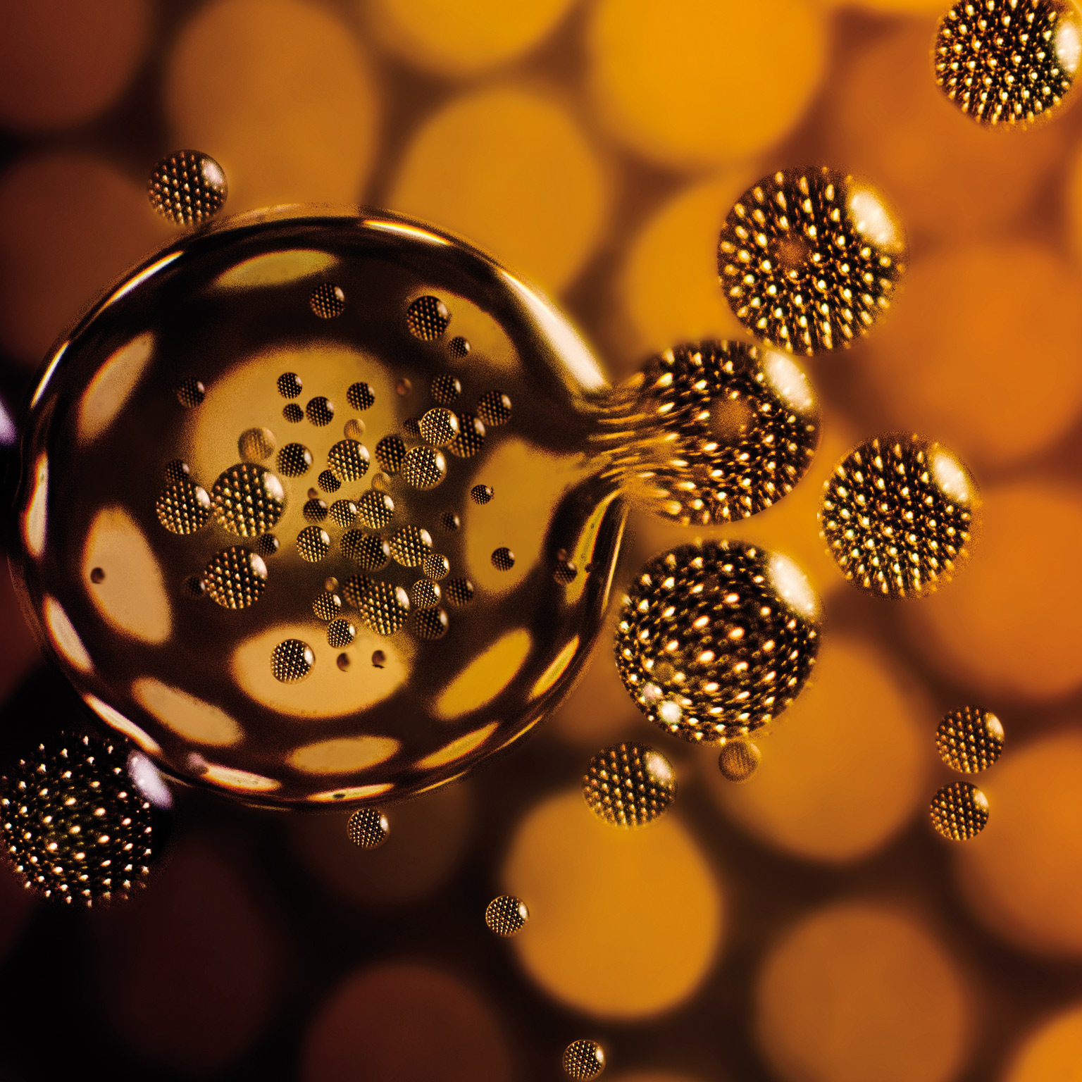 Seven levers for corporate and businessfunction success Introduction